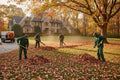 Leaf Removal