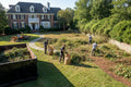 Property Cleanups