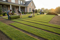 Sod & Grass Installation